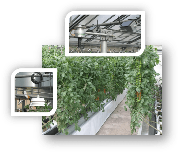 greenhouse and sensors