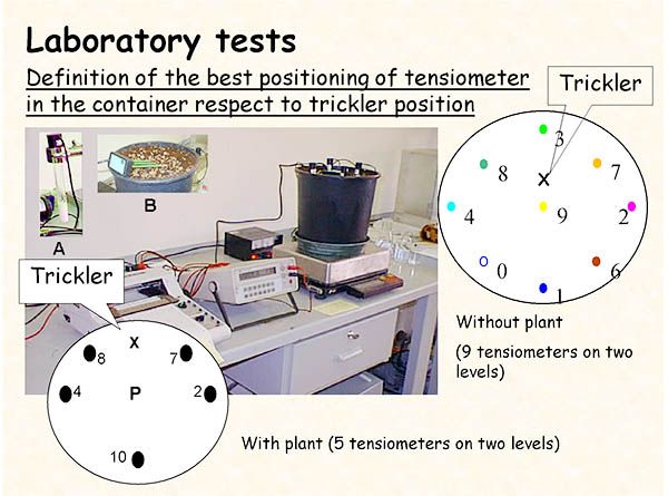 LabTest