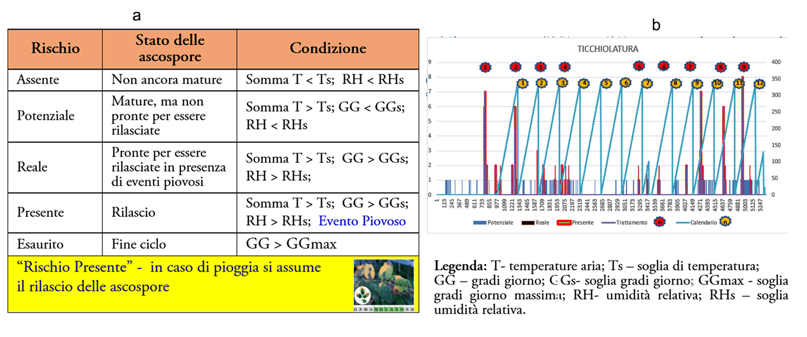 Criteri e soglie per la ticchiolatura